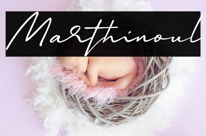 Marthinoul Example 1