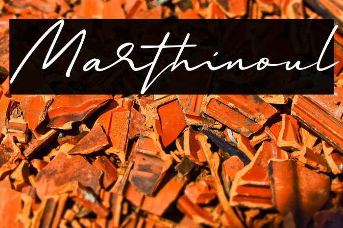 Marthinoul Example 3