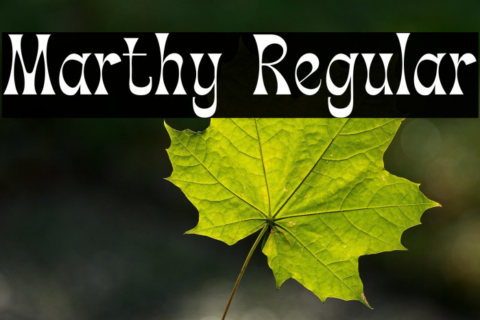 Marthy Regular Example 1