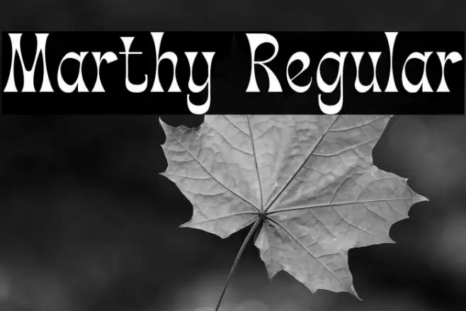 Marthy Regular Font examples