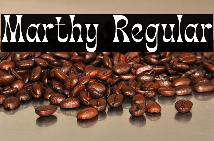 Marthy Regular Example 2