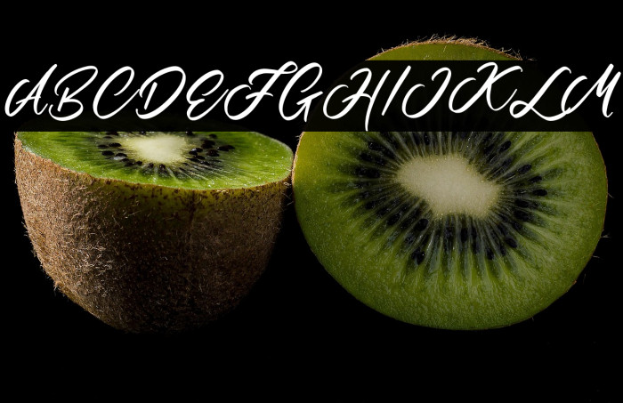 MartialScriptDEMO-Regular Example 1