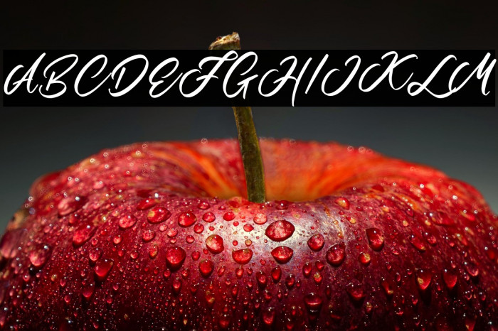 MartialScriptDEMO-Regular Example 2