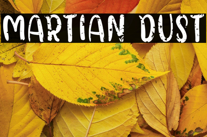 Martian Dust Example 3