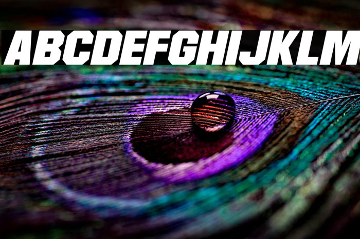 Martian Robotics Italic Example 1