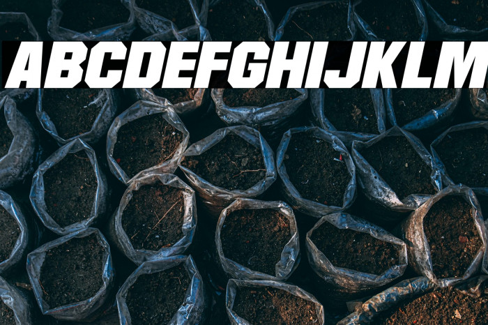 Martian Robotics Italic Example 2