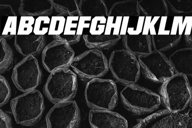 Martian Robotics Italic Font examples