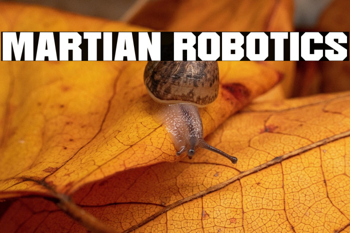 Martian Robotics Example 1