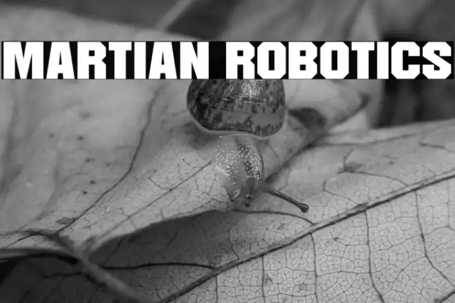 Martian Robotics Example 1