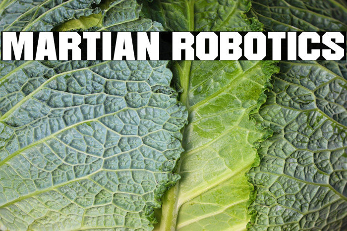 Martian Robotics Example 3