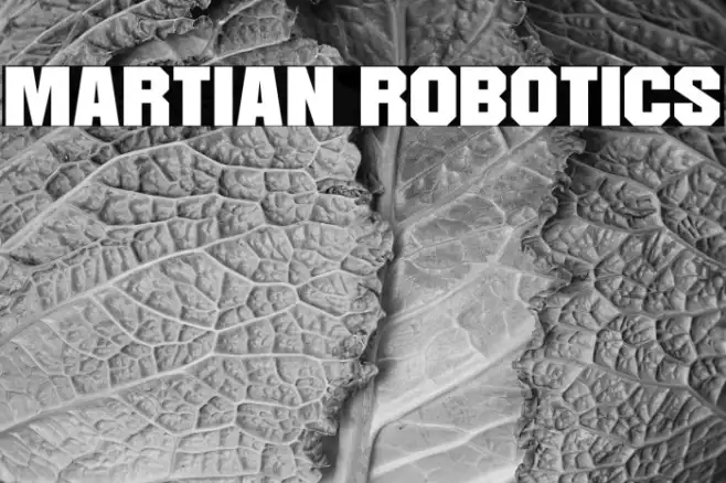 Martian Robotics Example 3