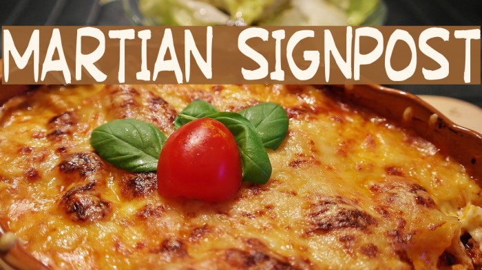 Martian Signpost フォント examples