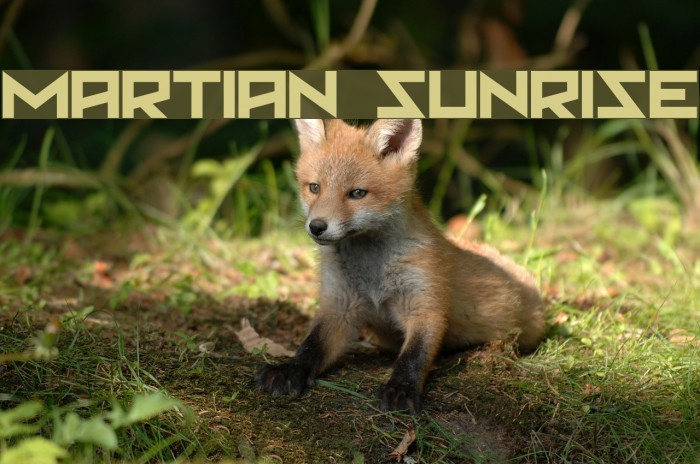 Martian Sunrise Example 3