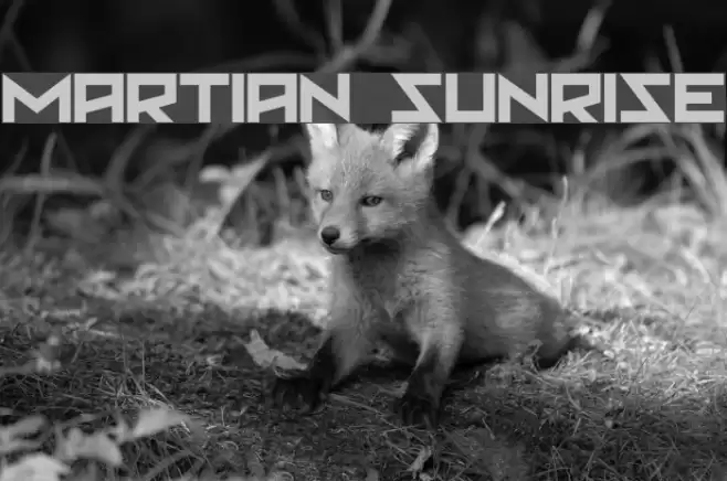 Martian Sunrise Font examples