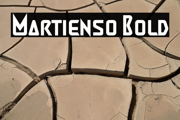 Martienso Bold Example 1
