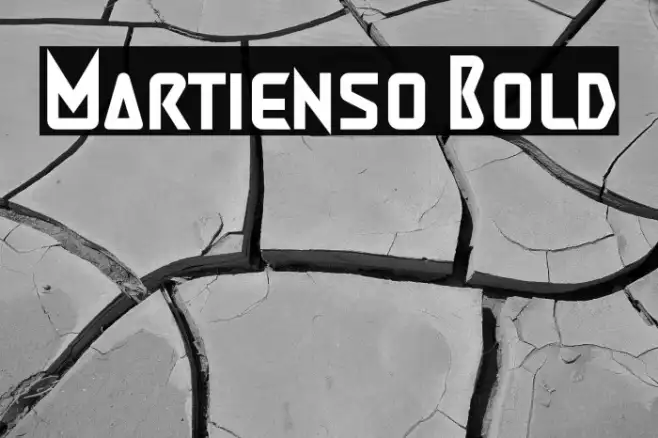 Martienso Bold Example 1