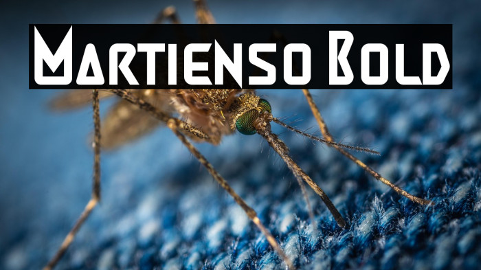 Martienso Bold Example 2