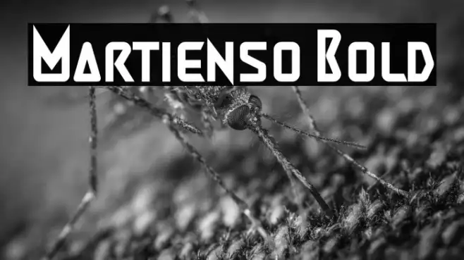 Martienso Bold Example 2