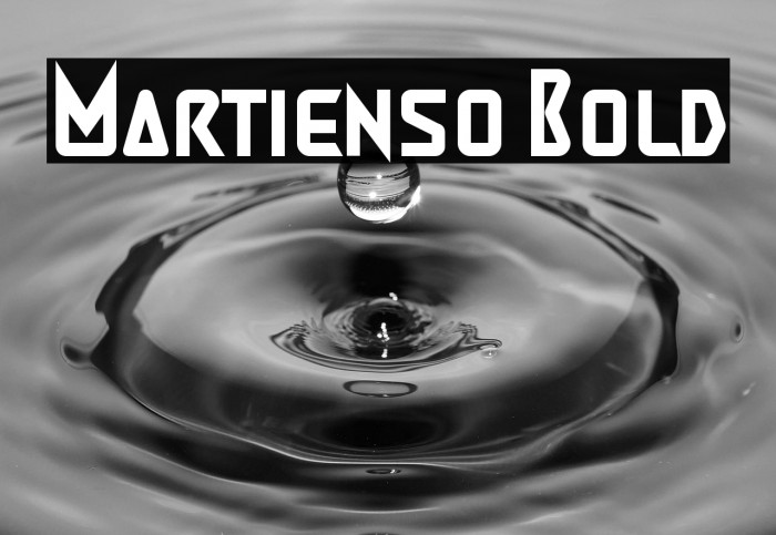 Martienso Bold Example 3