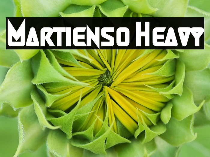Martienso Heavy Example 3