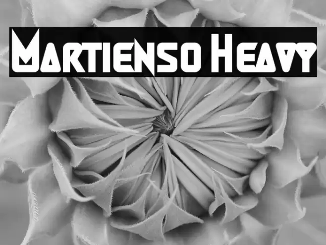 Martienso Heavy Font examples