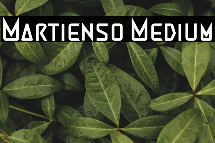 Martienso Medium Example 1
