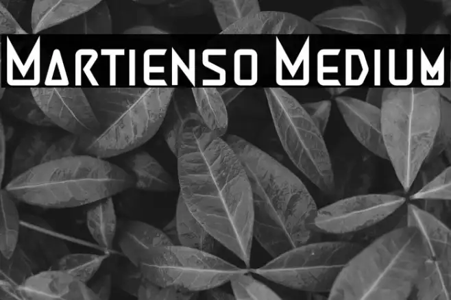 Martienso Medium Example 1