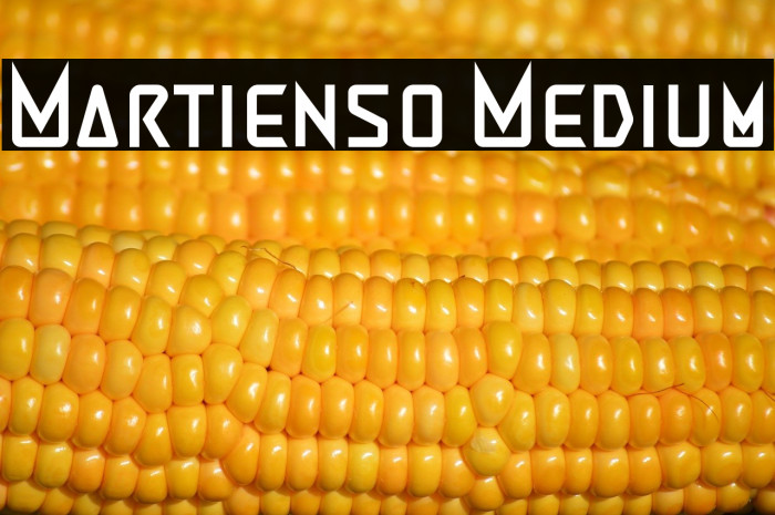 Martienso Medium Example 2