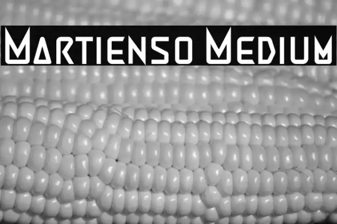 Martienso Medium Example 2