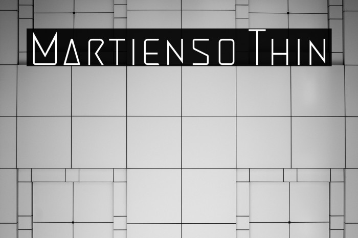 Martienso Thin Example 1