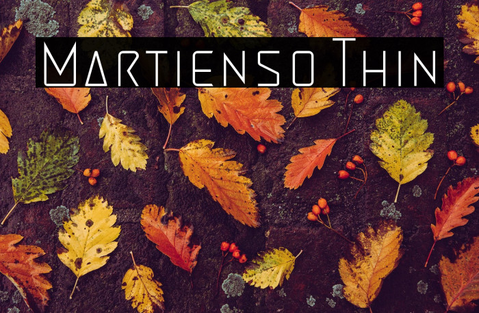 Martienso Thin Example 2