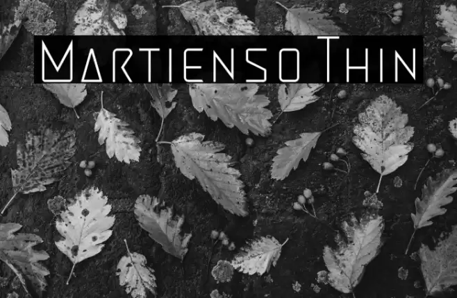 Martienso Thin Font examples