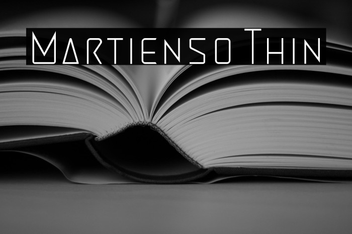 Martienso Thin Example 3