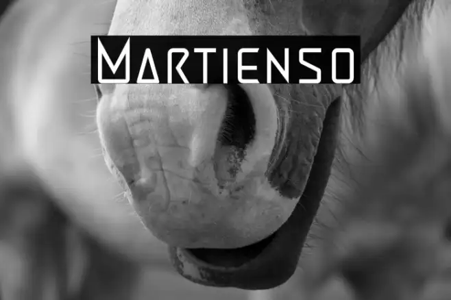 Martienso Example 1