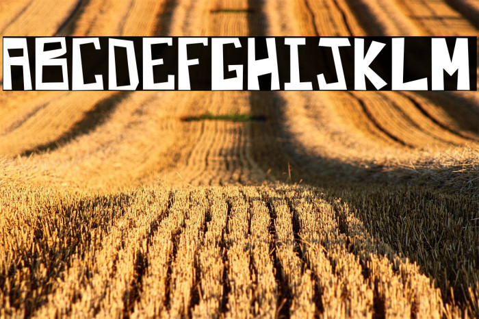 Martilo Regular Example 3