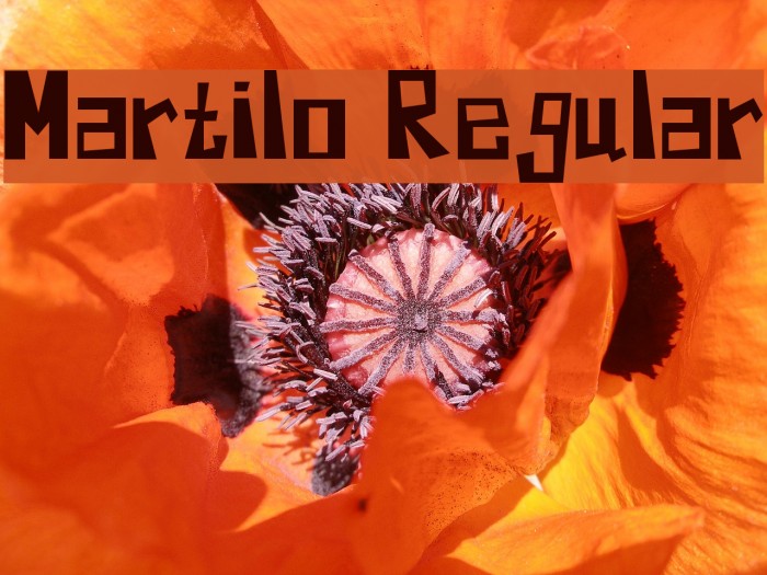 Martilo Regular Example 3