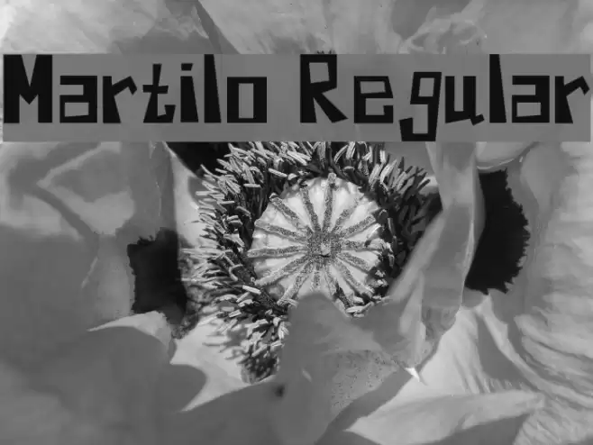 Martilo Regular Font examples