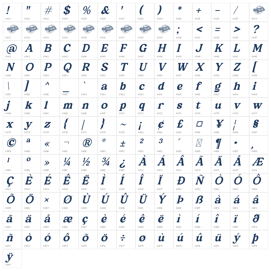 Martin Breaks DEMO VERSION Italic Character Map