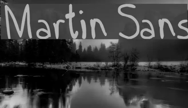 Martin Sans Font examples