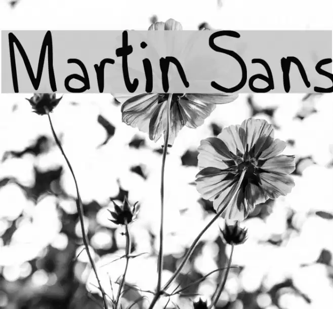 Martin Sans Font examples