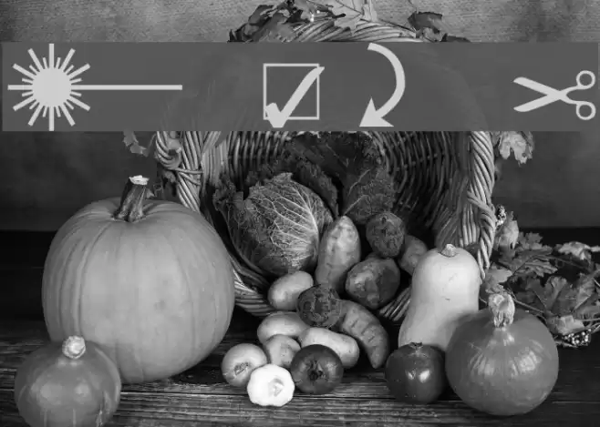 Martin Vogel's Symbols Font examples