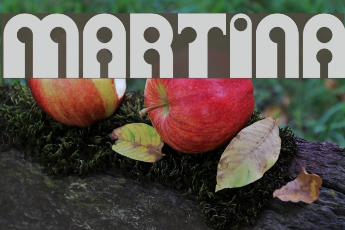 Martina Шрифта examples