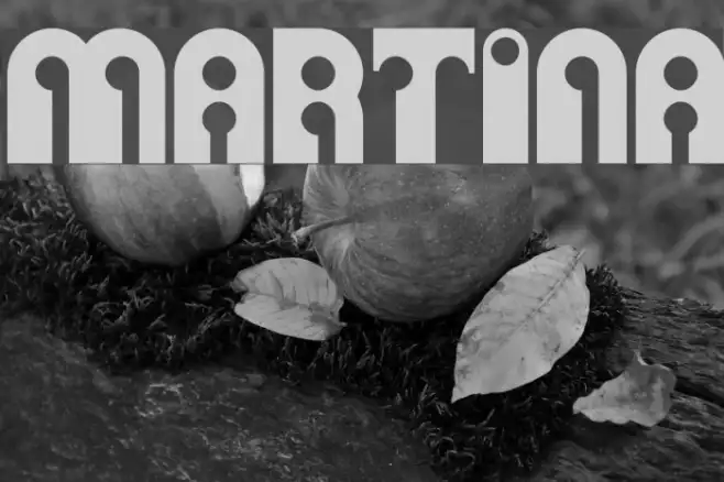 Martina Example 1