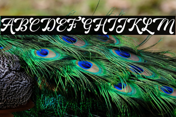 MartineScript Example 3