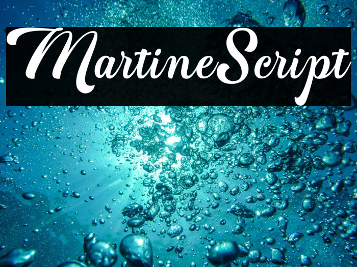 MartineScript Example 1