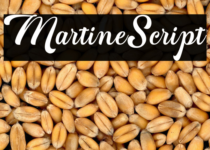 MartineScript Example 2