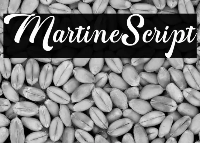 MartineScript Font examples