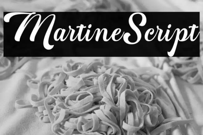 MartineScript Font examples