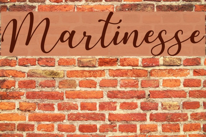 Martinesse Font examples