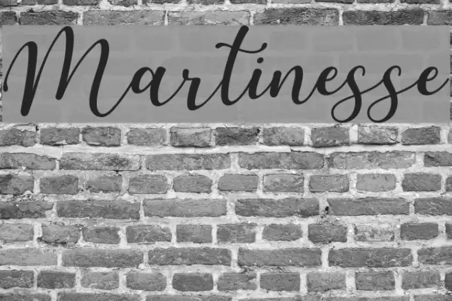 Martinesse Example 1